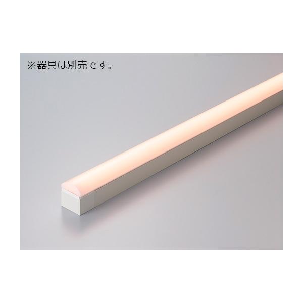 cmCeBO@TRIM LINE pLEDW[ ԐڏƖ TM D S1248mm dF(2400K)@TM1250L24D 󒍐Yi