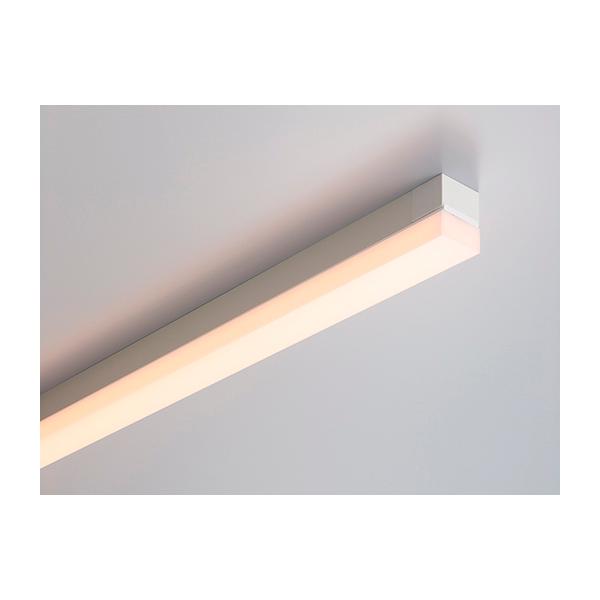 cmCeBO@TRIM LINE LEDƖ ԐڏƖ TRH S-FPL p^ XNGA^Jo[ S1250mm dF(2800K)@TRH1250L28S-FPL 󒍐Yi