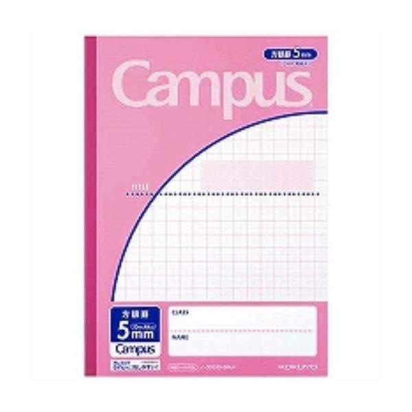 RN LpXm[g pr B5 5mmr 30 sN m-30S10-5NLP/[֑