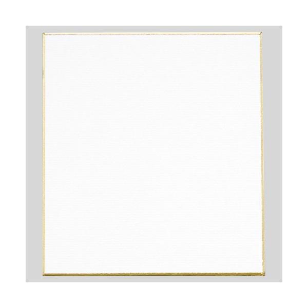 色紙 シ-251 1/4 画仙/メール便送料無料
