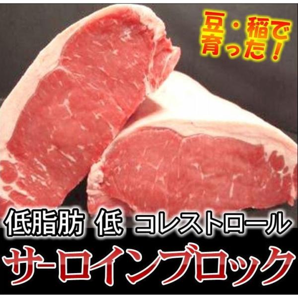業務用 サーロインステーキブロック 低脂肪 低コレステロール ホルモン注射無し Buyee Buyee Japanese Proxy Service Buy From Japan Bot Online