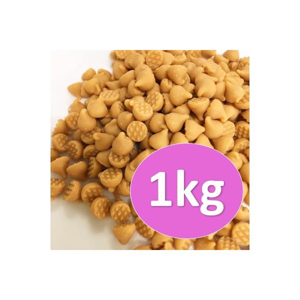 森永　キャラメルチョコチップ　1kg　チャック付スタンドパック入