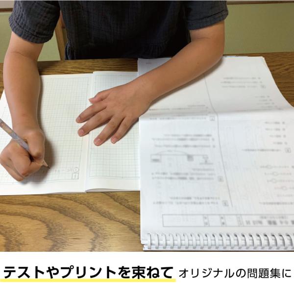 allpass_205-365_2_d_20240215145249