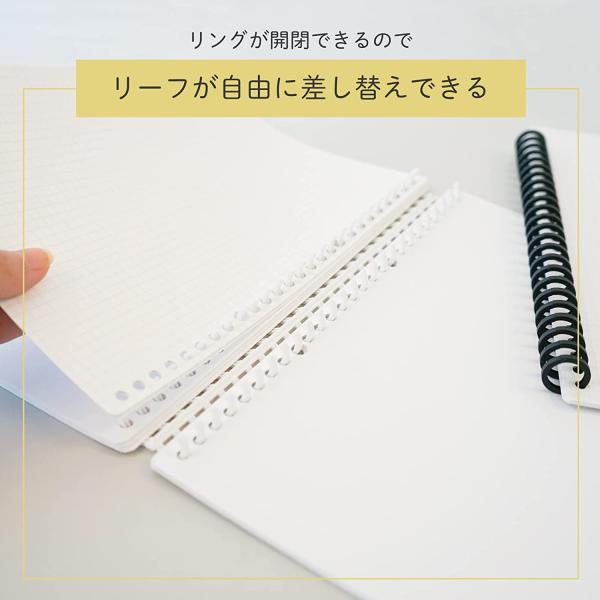 allpass_205-365_3_d_20240215145249