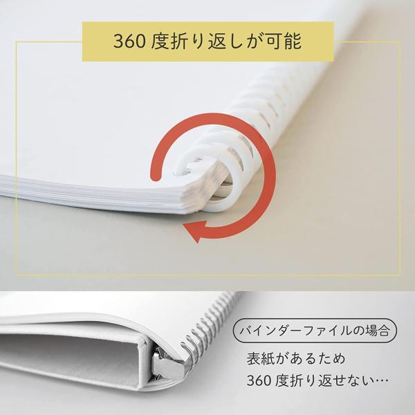 allpass_205-365_4_d_20240215145249