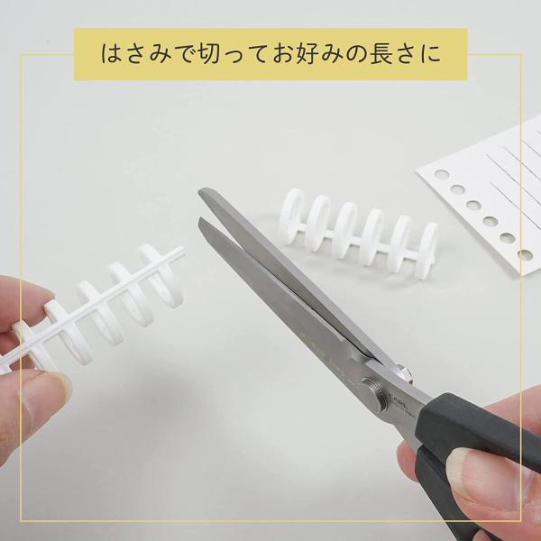 allpass_205-365_5_d_20240215145249