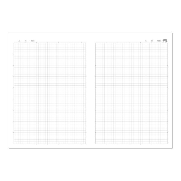 allpass_501-118_1_d_20241010101523