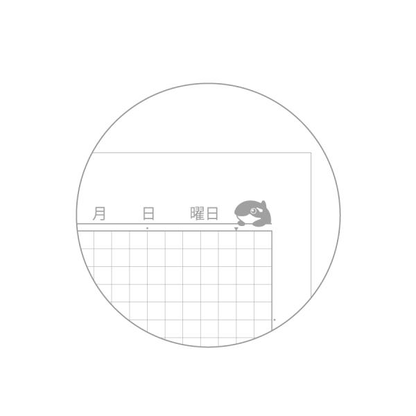 allpass_501-118_2_d_20241010101525