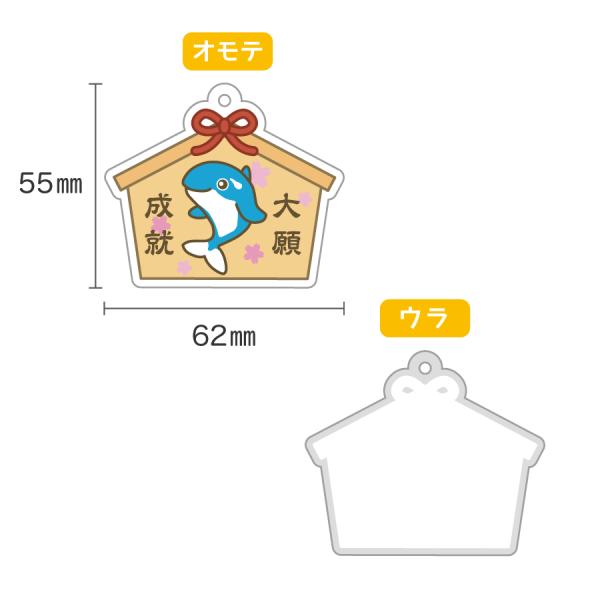 allpass_501-253_1_d_20220930135126