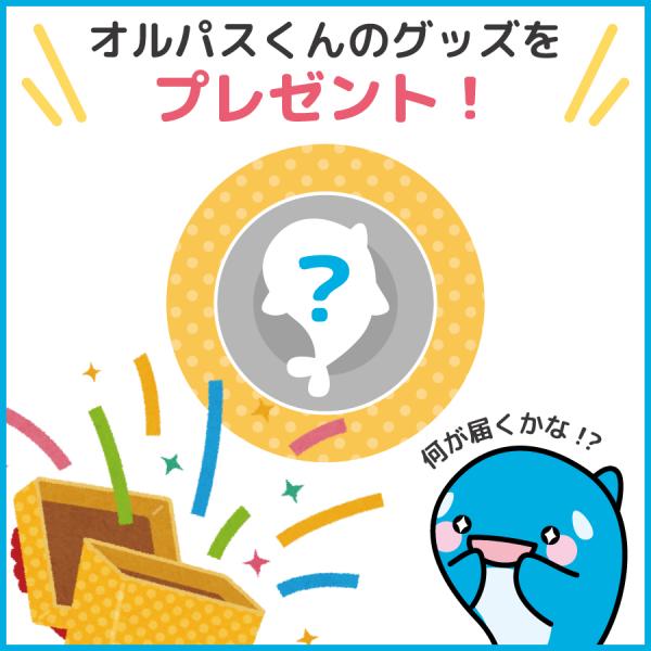 allpass_501-502_1_d_20250515122020