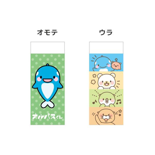 allpass_501-625_5_d_20241121140055