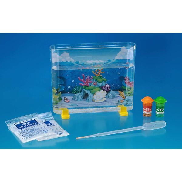 allpass_502-030_2_d_20220816165233