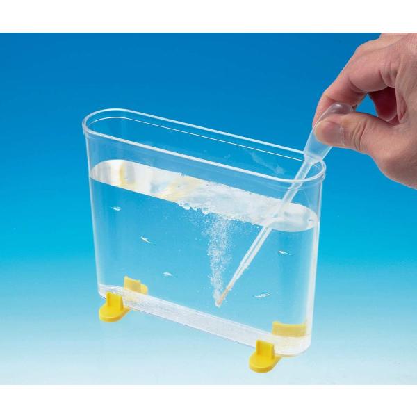 allpass_502-030_3_d_20220816165233