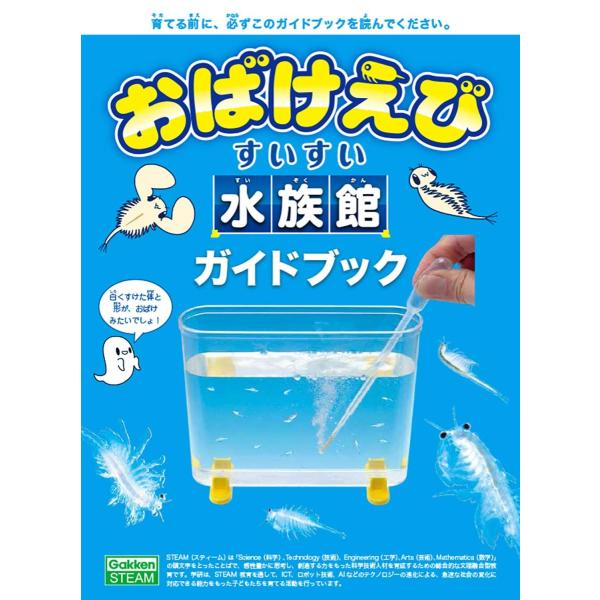 allpass_502-030_4_d_20220816165233