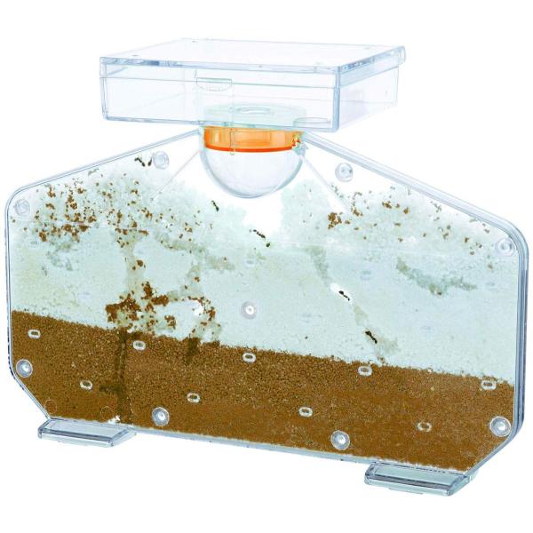 allpass_502-031_2_d_20230724145416