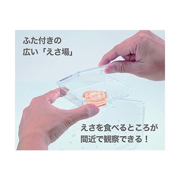 allpass_502-031_3_d_20230724145416