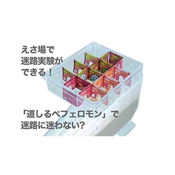 allpass_502-031_4_d_20230724145416