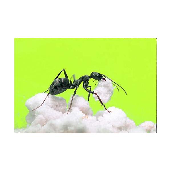 allpass_502-031_5_d_20230724145416