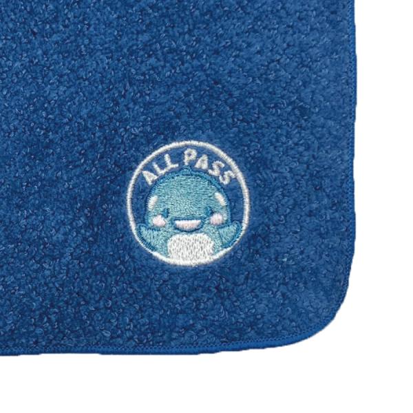 allpass_a501-651_1_d_20251226150825