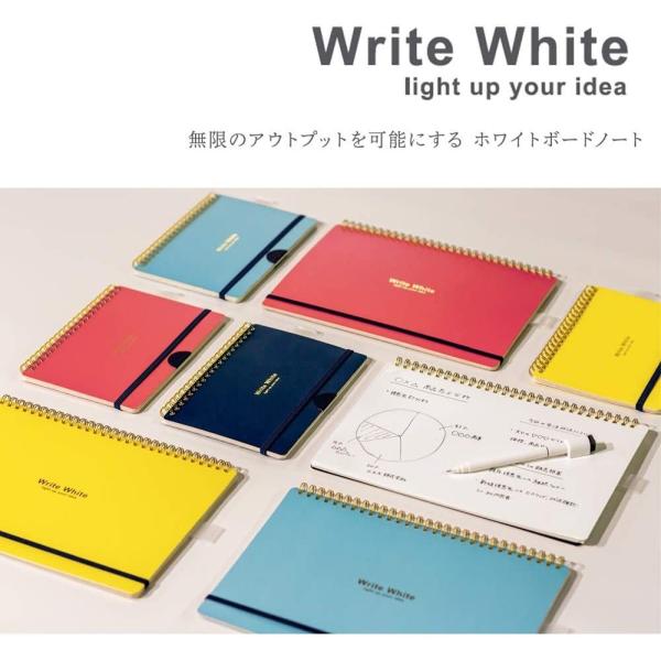 allpass_a502-103_1_d_20221228115214