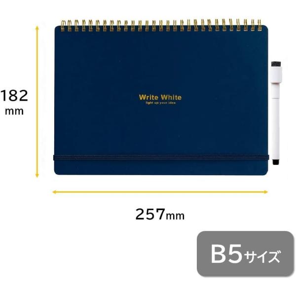 allpass_a502-103_4_d_20221228115214