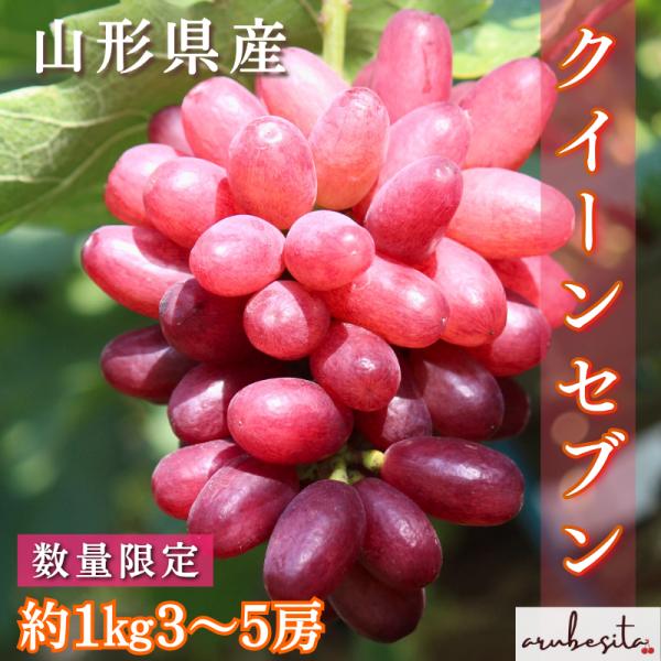 数量限定予約 山形県産　希少葡萄　クイーンセブン　約1kg 3〜5房程度｜9月上旬頃〜 ぶどう ブドウ 種なし クール便  フルーツ 果物