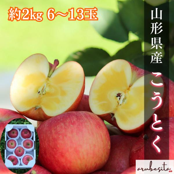 数量限定予約■山形県産りんご こうとく 約2kg 6〜13玉　11月上旬〜下旬頃