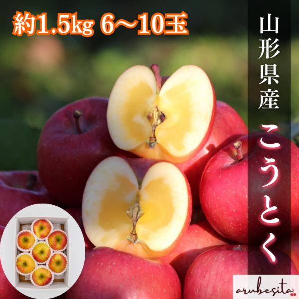 数量限定予約■山形県産りんご こうとく 約1.5kg 6〜10玉　11月上旬〜下旬頃