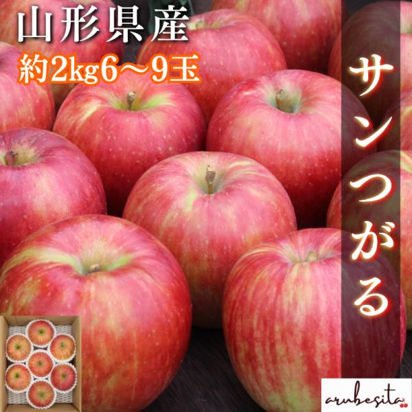 ■予約■山形県産りんご　葉とらずサンつがる　約2kg 6~9玉　9/10頃〜