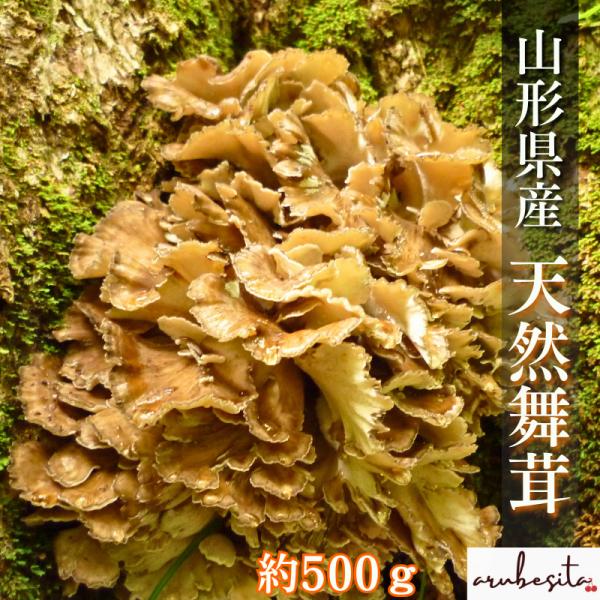 山形県産、天然マイタケ900g 山形県産、天然マイタケ900g 天然舞茸