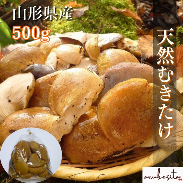 予約■山形県産　天然きのこ　山のふかひれ「むきたけ」500g　10月下旬〜