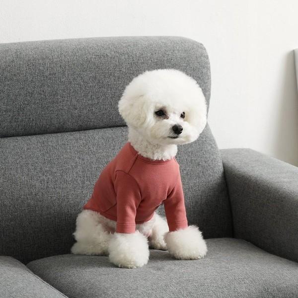 Roomnhome ルームアンドホーム ペットウェア レタリングtシャツ 犬 服 ブリック かわいい 散歩 ドッグウェア B07myz6wqt アリー 通販 Yahoo ショッピング