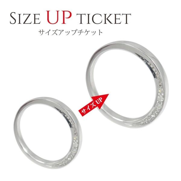 サイズアップチケット 3000円券