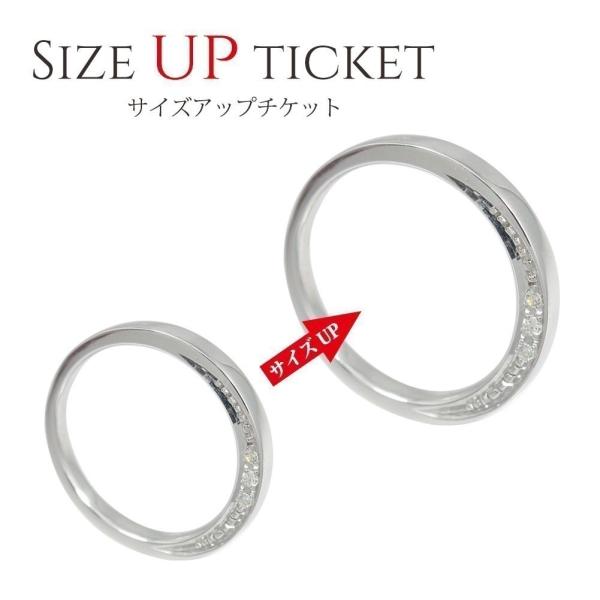 サイズアップチケット 5500円券