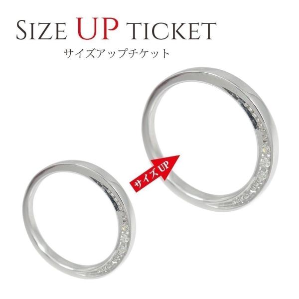 サイズアップチケット 9000円券