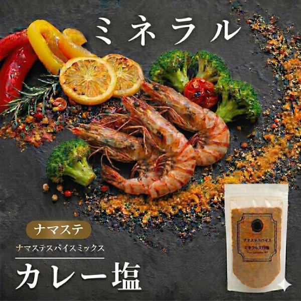 料理家&内科医 監修 天然塩 天日塩 カレー カレー塩 スパイスミックス ミックススパイス ミックスソルト - ナマステスパイスミックス × 天日塩 100g