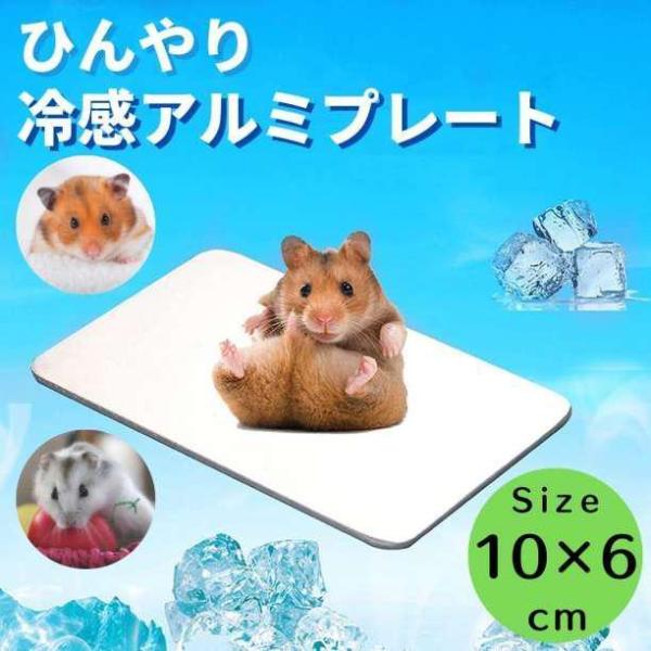 ハムスター用冷却プレート 涼感 冷却 小動物 用品 ひんやりグッズ クールマット 夏対策 冷たい エアコン はりねずみ モルモット 小型 涼感プレート プレート