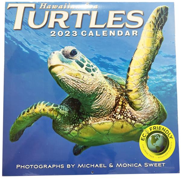 23年 Hawaii 書き込み カレンダー 小型 ハワイ風景 ハワイ Story ハワイカレンダー 景色 Aloha 壁掛け ヤシの木