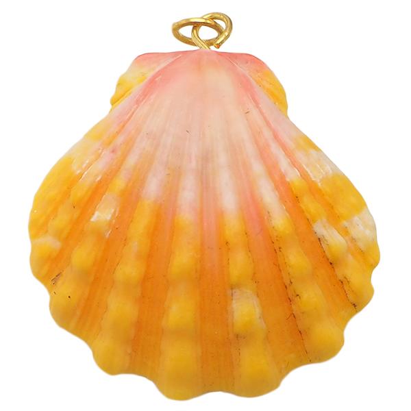 ハワイ ハワイアンジュエリー サンライズシェル ハワイ限定 天然 希少 サンライズシェル ハワイの大自然が作り出した希少なサンライズシェル