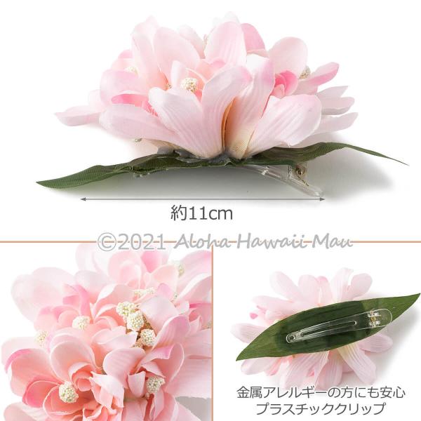 aloha-hawaii-mau_fc-302453-pk_3