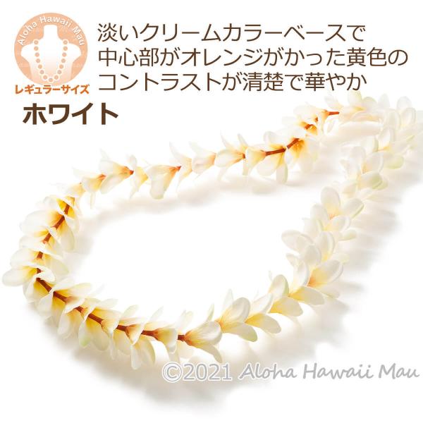 フラダンス レイ アロハ プルメリア シングル ホワイト クリーム フラ