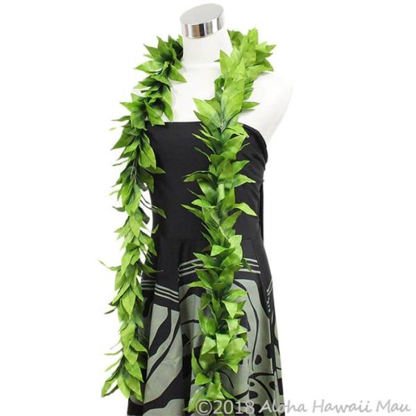 【5本セット】ハワイアン　フラダンス　マイレ オープンレイ　葉　グリーンレイ aloha-hawaii-mau_jl-121003-ml