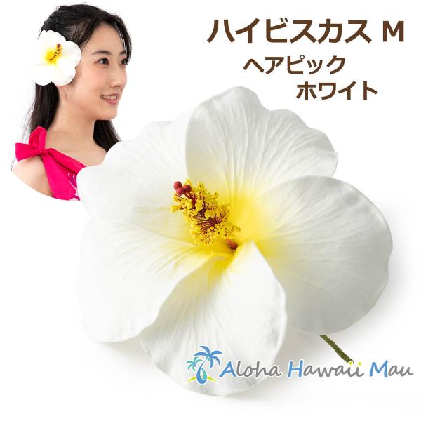 ハイビスカス ピックホワイト