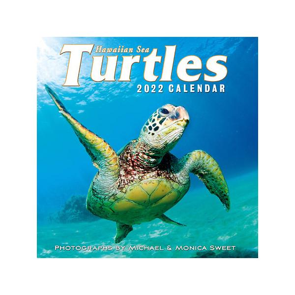 ハワイアン カレンダー 22年 ホヌ ウミガメ 壁掛け ポスター 写真 海 ハワイ インテリア 雑貨 お土産 22 Hawaiian Sea Turtles Calendar22 Hawaiian Sea Turtle Aloha Diaries ハワイセレクトshop 通販 Yahoo ショッピング