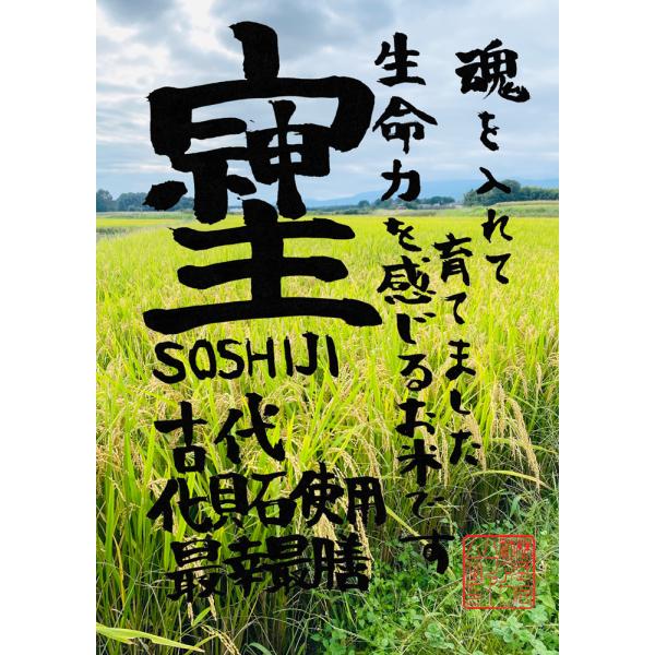 2025年度産 そしじ 白米 1kg ゆうだい21 : アロハファームYahoo!店