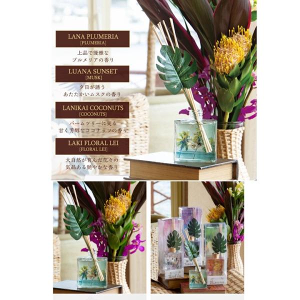 ハワイアン　Kahiko まとめ売り　インテリア　16点セット ハワイアン Kahiko まとめ売り インテリア 16点セット 【公式通販】