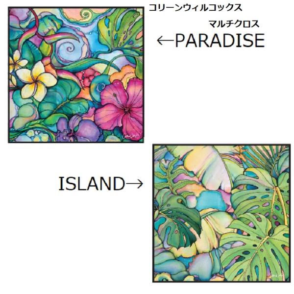 コリーンウィルコックス 直筆サイン入り アート パラダイス 他 2枚組 レア alohagift_multicross-001