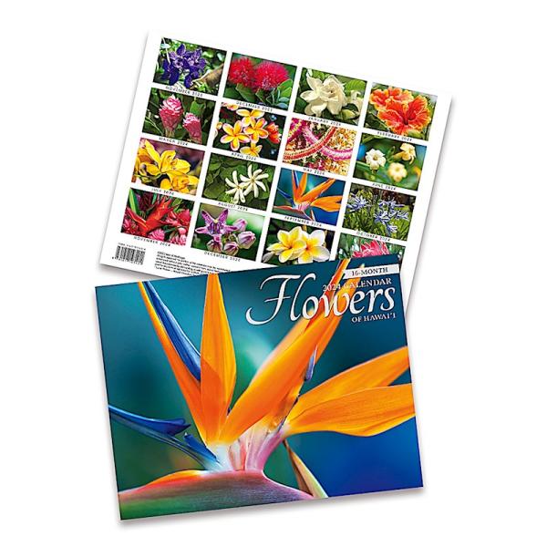 2024年版 ハワイ カレンダー 16ヶ月 壁掛けカレンダー Flowers of Hawaii フラワー オブ ハワイ  :CLD2024flowers:アロハ日和 通販 