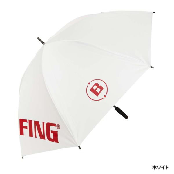 ブリーフィング CARBON SHAFT UMBRELLA 2 BRG243G23 ゴルフ 傘