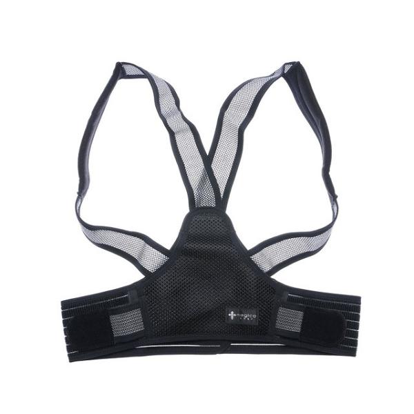 StEFA t  T|[^[ pT|[^[ XCOT|[g